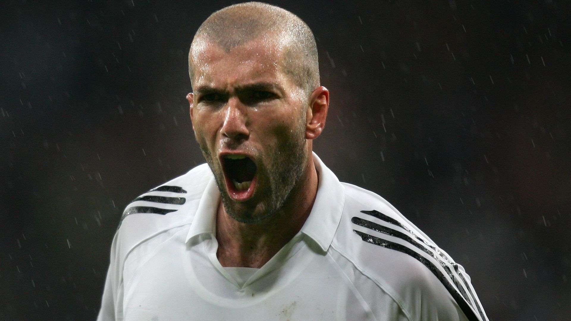 持續自我證 持續自我證