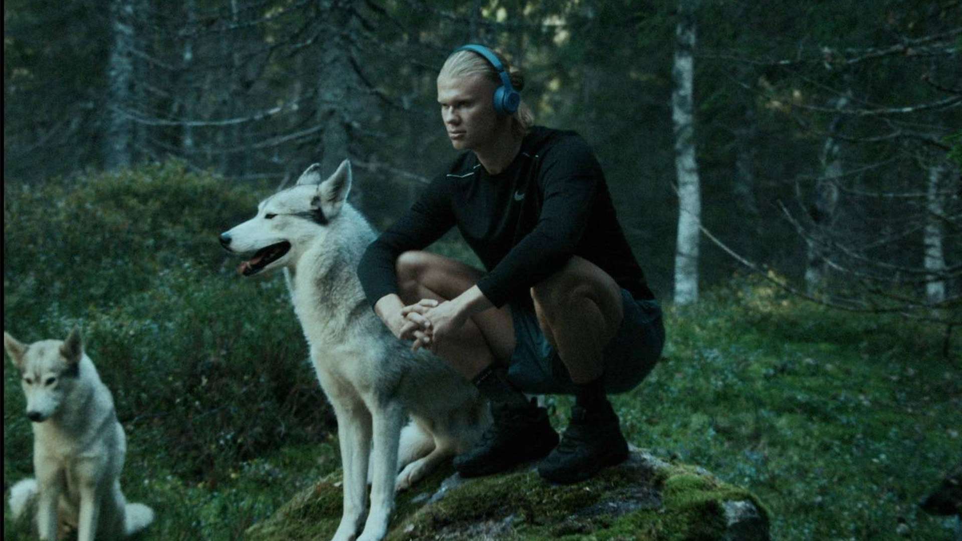 这一判决虽 这一判决虽