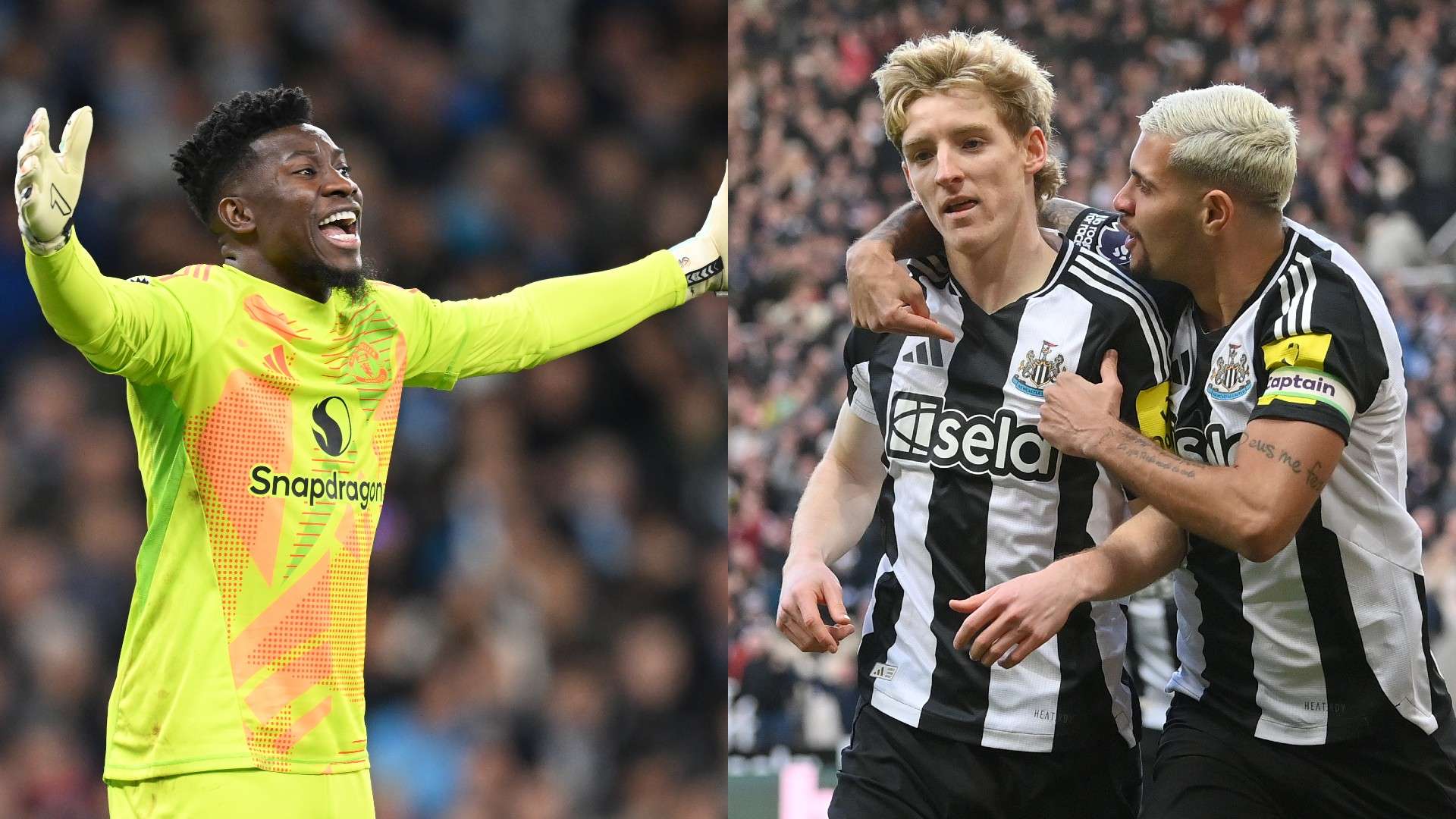 表現卻仍讓 表現卻仍讓