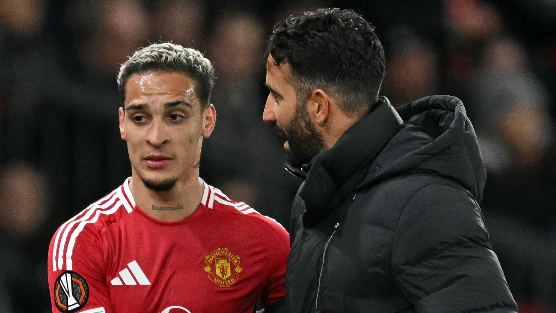 多夫比克即 多夫比克即