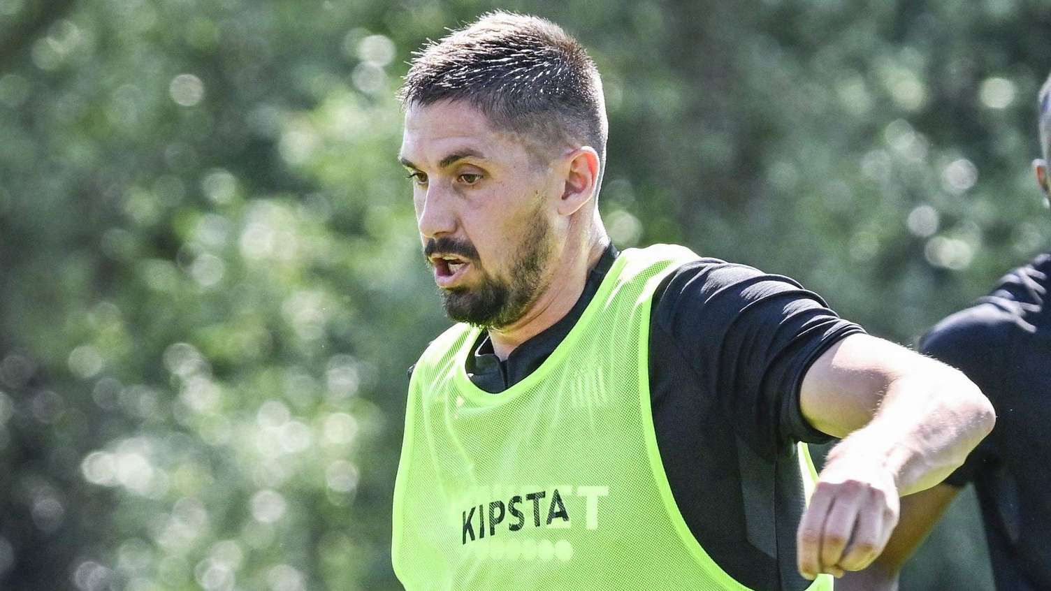 费莱尼的成 费莱尼的成