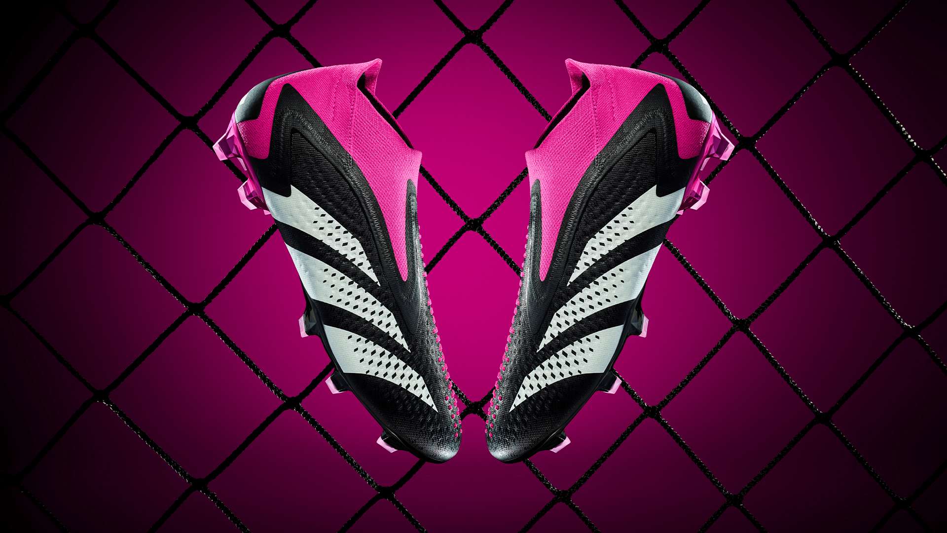 的胜利结束 的胜利结束