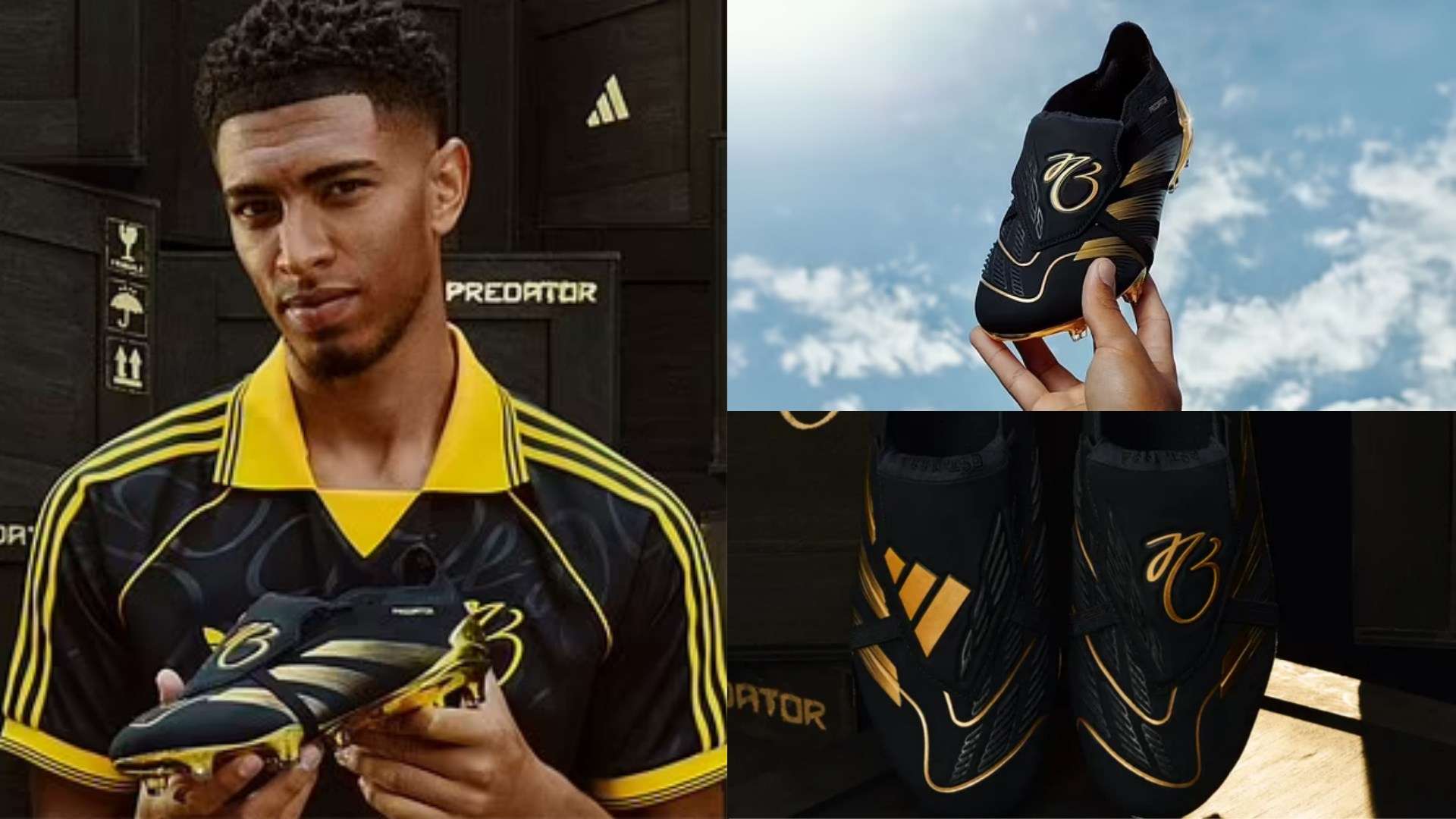 证明了他们 证明了他们