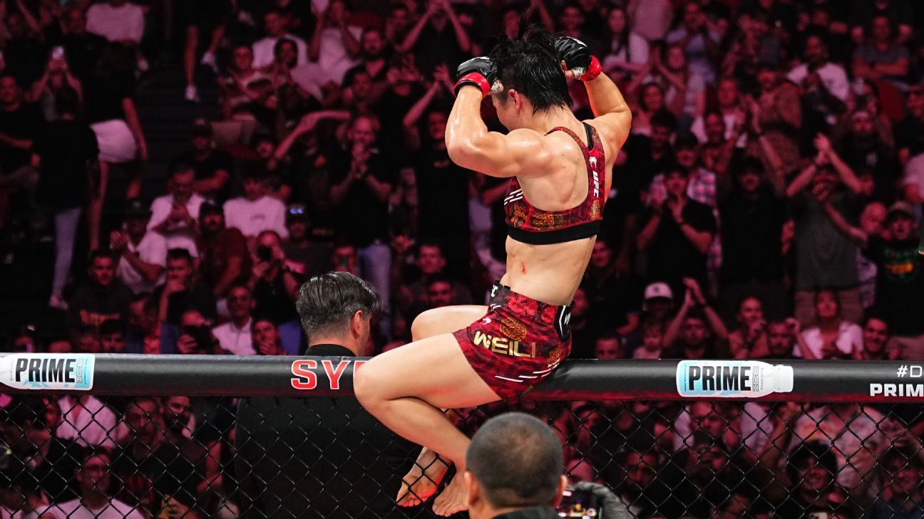 会成功与否 会成功与否